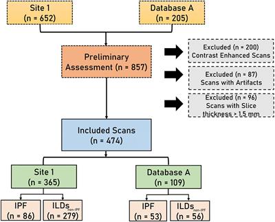 Diagnosis of Idiopathic Pulmonary Fibrosis in High-Resolution Computed Tomography Scans Using a Combination of Handcrafted Radiomics and Deep Learning